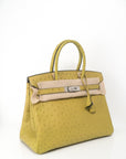 Birkin 30 Ostrich Vert Anis Palladium Hardware □J