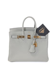 Birkin 25 Gris Neve Gold Hardware Togo
