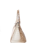 Birkin 30 Himalaya Palladium Hardware Crocodile