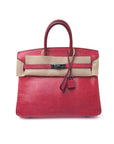 Birkin 25 Framboise Ruthenium Hardware Lizard
