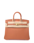 Birkin 25 Gold on Gold Swift B