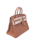 Birkin 25 Gold on Gold Togo D