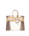 Birkin 25 Nilo Croco Matte Himalaya C