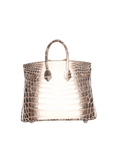 Birkin 25 Nilo Croco Matte Himalaya C