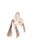 Birkin 25 Nilo Croco Matte Himalaya C