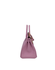 Birkin 25 Mauve Sylvester Rose Gold Hardware Swift Leather