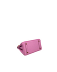 Birkin 25 Mauve Sylvester Rose Gold Hardware Swift Leather