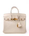 Birkin 25 Nata Gold Hardware Swift
