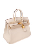 Birkin 25 Nata Gold Hardware Swift