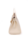 Birkin 25 Nata Gold Hardware Swift