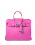 Birkin 25 Rose Pourpre Palladium Hardware Evercolor U