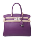 Birkin 30 Parma Special Order Palladium Hardware Chevre □L