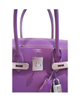 Birkin 30 Parma Special Order Palladium Hardware Chevre □L