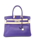 Birkin 30 Crocus Palladium Hardware Epsom □P