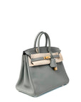 Birkin 25 Gris M Gold Hardware Togo X