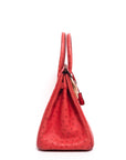 Birkin 30 Ostrich Bougainvillea Palladium Hardware □N