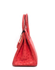 Birkin 30 Ostrich Bougainvillea Palladium Hardware □N