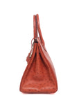Birkin 30 Ostrich Cuivre Gold Hardware X