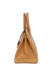 Birkin 30 Ostrich Naturel Gold Hardware □R
