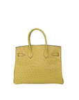 Birkin 30 Ostrich Vert Anis Palladium Hardware □J