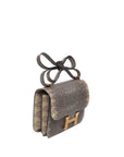 Constance 18 Ombre Lizard Gold Hardware Y