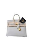 Birkin 25 Gris Perle Gold Hardware Togo Y