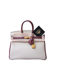 Birkin 25 Special Order Nata / Rouge H with Brushed Gold Hardware Togo Z