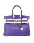 Birkin 30 Crocus Palladium Hardware Epsom □P