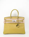 Birkin 30 Ostrich Vert Anis Palladium Hardware □J