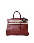 Birkin 35 Ostrich Rouge H Gold Hardware □F