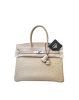 Birkin 30 Ostrich Parchemin Palladium Hardware □M